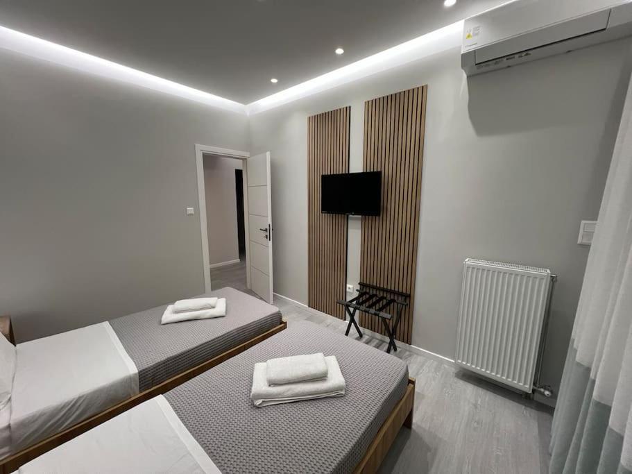 Luxury Apartment Near Acropolis Atina Dış mekan fotoğraf